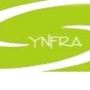 SYNFRA IT -  Structured Cabling In Dubai
