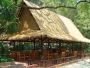Premium Artificial Thatch Roof – Transform Your Space with L