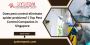 Does Pest Control Eliminate Spider Problems?