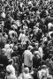 Organizational Leadership Consulting That Drives Performance