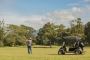 Elevate Your Game: Rental Clubs for Golfers