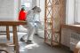 T2P Pest solution provides best pest control services in Par