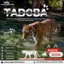 Tadoba Weekend Tour 1Night  2Days @3500/- Only | Book Now