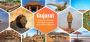 Gujarat Tour Packages 2025 India – Book Affordable Trips