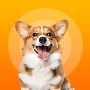 Dog Care Products & Accessories Online