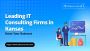 Boost Business with Expert IT Consulting Services Kansas