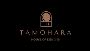Reception lehenga shops in chennai
