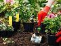 Transform Your Spaces: Expert Home and Garden Tips for Succe