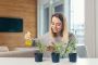 Grow Your Own: Kitchen Garden Tips for Fresh Homegrown Produ