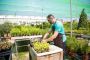 Grow Your Best Garden: Expert Gardening Tips for All Levels!