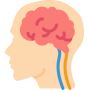 What is The Emotional Freedom Techniques?
