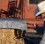 Shop Durable Hay Tarps at Tarps Plus