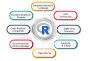 R Programming Tutorial: Everything You Need to Know!