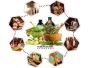 Best Panchkarma Treatment in Delhi