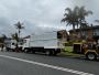 Expert Tree Removal Services in Bega - Tasker Lawns