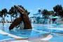 Camping Bay of Plenty guarantees an unforgettable holiday ex Camping Bay of Plenty guarantees an unforgettable holiday ex