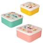 Taufnaus – Ihr einziger Ort, um hochwertige Lunchbox-Sets zu