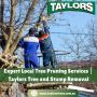 Expert Local Tree Pruning Services | Taylors Tree and Stump 