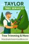 Expert Tree Removal in Abilene, TX – What You Should Know