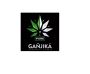 Buy Organic Vegan Delta 8 Gummies Online