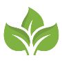 Delta Green Valley Thane Grand 1 & 2 BHK Flats Ghodbunder Ro