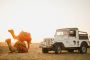 Night walk in Jaisalmer old city | TDunes Desert Safari Camp
