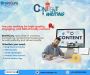 Unlock the Power of Words with BrainGuru Your Trusted Conten