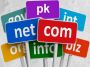 Do you need your desired cheap pk domain? Do you need your desired cheap pk domain?