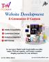 Website Development Services in Mohali | Techwalk Solutions