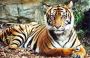 Best National Geographic Photographers in Manchester 
