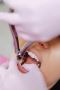 Best Dental Implant Clinic in Newtown for Healthy Smile