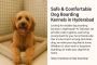 Affordable Dog Boarding Services Hyderabad – Safe & Comforta