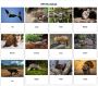 Advanced Animal GPS Tracking with Telemetry Solutions