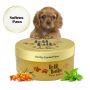 Buy Natural Paw Balm for Dogs in India Online By Telltails