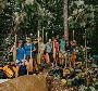 Temagami Canoe Tripping – Adventure Awaits on the Water