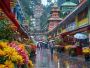 Latest Online Sikkim Tenders