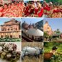 eProcurement Tenders in Assam