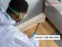 Drywood Termites Sydney: Expert Solutions for Effective Control