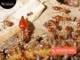 Termite Protection Sydney – Safeguard Your Property Today