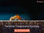 Termite Eradication Services in Sydney