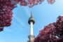 Begin Your Journey to Teach English in South Korea