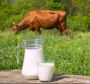 Fresh & Creamy Delight – Get Local Raw Milk Houston Today