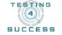 website usability testing