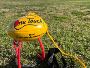 Buy Size 4 AFL Women’s Ball & Sporting Goods in Sydney 