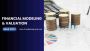 Financial Modeling and Valuation: Finance Decision-Making