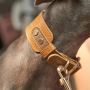 Beautiful and Durable Amber Collar for Your Pet