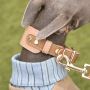 Classic and Strong Leather Dog Collars for Large Dogs
