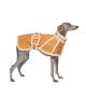 Pet Designer Clothing for Stylish Pets | BONDIR Pet Clothing