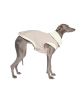 Get Your Pet the Finest Clothes on This Sale!