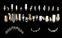 Leading Implants Manufacturer in China